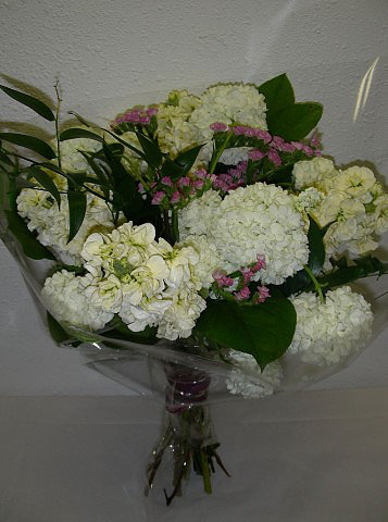 White Dreams
