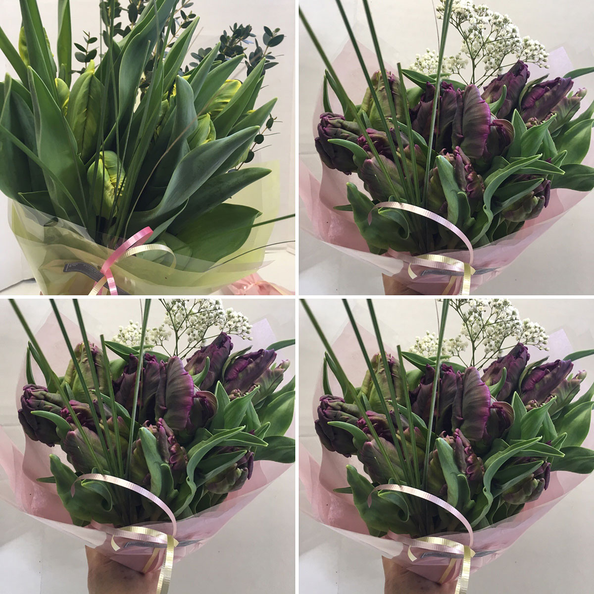 parrot tulips flower bouquet